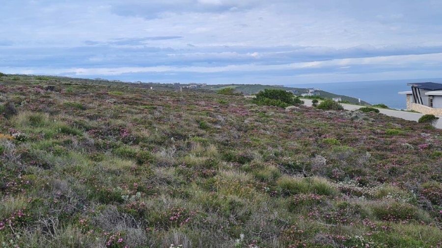 Commercial Property for Sale in Dana Bay Western Cape